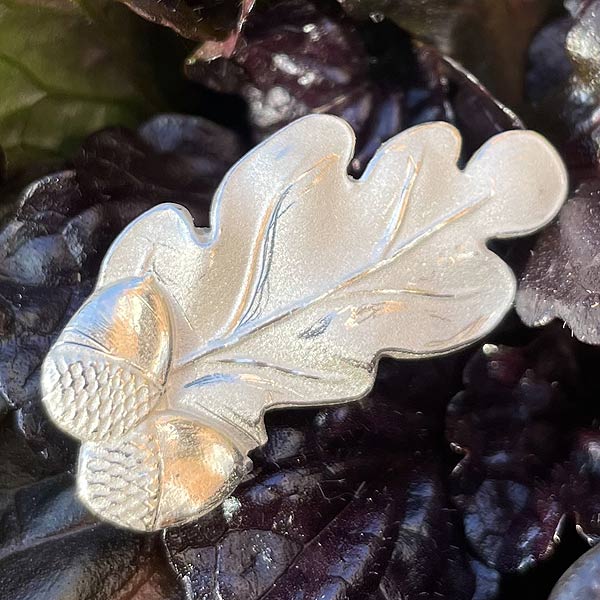 Girlguiding Silver Oak Leaf Award